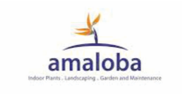 Amaloba